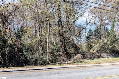 00 Elizabeth St, Clinton, SC 29325 - photo 4