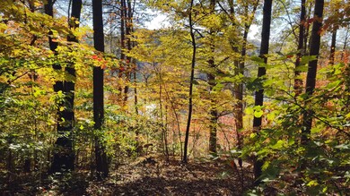 moon ridge land stills (7)