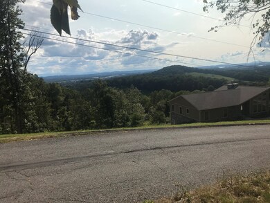 0 Le Conte St unit 590109, Morristown, TN 37814 - photo 4