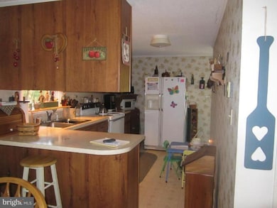 420 Camp Hill Rd, Berkeley Springs, WV 25411 - photo 4