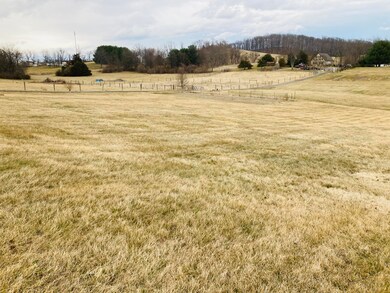 15 Oscar View rear yard view