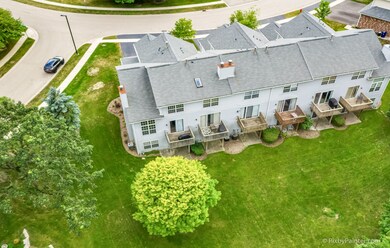 1330 Grandview Ct, Algonquin, IL 60102 - photo 4