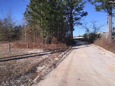 111 Allenvalley Rd, Gaston, SC 29053 - photo 4