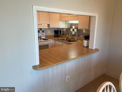 30148 Cedar Shores Rd unit 351F, Ocean View, DE 19970 - photo 7