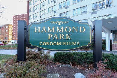 Hammond Park Condominiums unit 302, Chestnut Hill, MA 02467 - photo 2