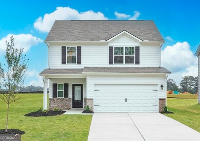 289 Egret Ct, Hoschton, GA 30548 - photo 5