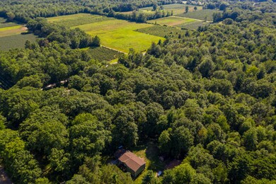 20200717-DJI_0327