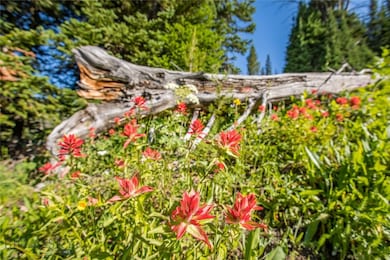 Lot 16 Beehive Basin Rd, Big Sky, MT 59730 - photo 2