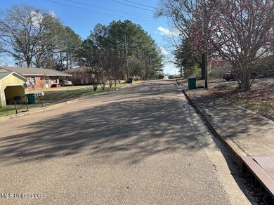 Street View to the Left of the Property