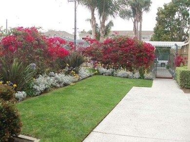 Lovely Landscaping At Entrance