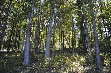 _DSC0001