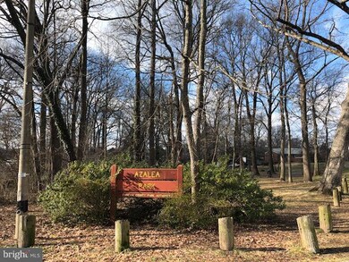 6460 Westover St, Falls Church, VA 22042 - photo 3