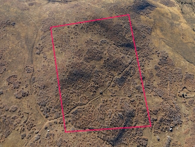 29010 N 8000 E unit 77, Fairview, UT 84629 - photo 6