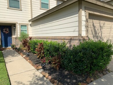 Put your green thumb at work for some nice lawn appeal