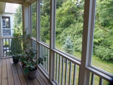 scenic view backyard