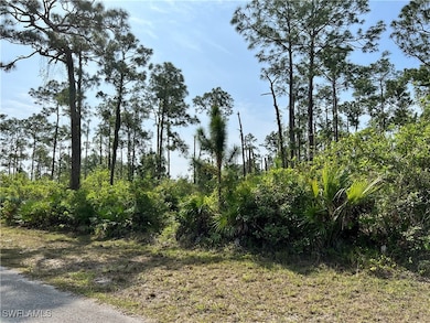 View of local wilderness