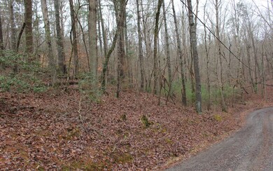 Additional View