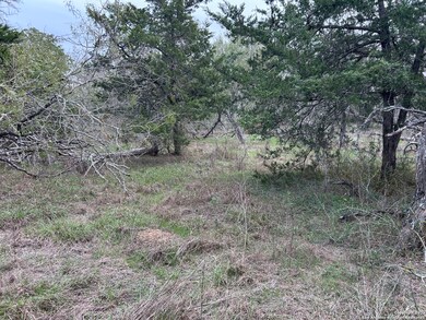 141 N Eskew Ln, Wyldwood, TX 78612 - photo 7