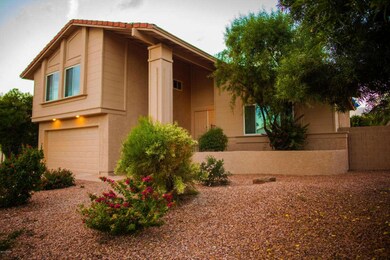 Easy-care Desert Landscaping