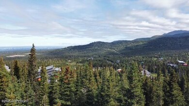 L13A B4H Viola Cir, Anchorage, AK 99516 - photo 2