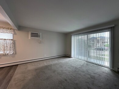 4525 Elm Ave unit 2B, Brookfield, IL 60513 - photo 4