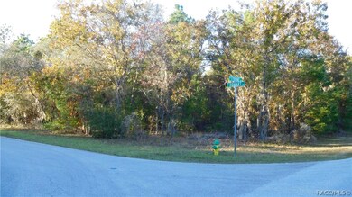 1315 E Hobart Ln, Hernando, FL 34442 - photo 4