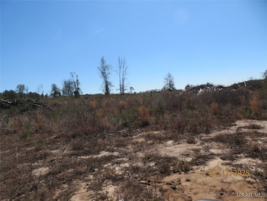 0 Old Salem Rd, Enterprise, AL 36330 - photo 4