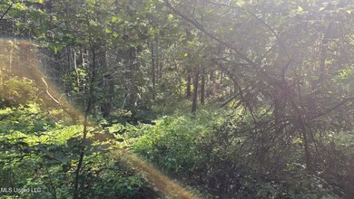 00 Nelson Corner Rd, Roxie, MS 39661 - photo 4