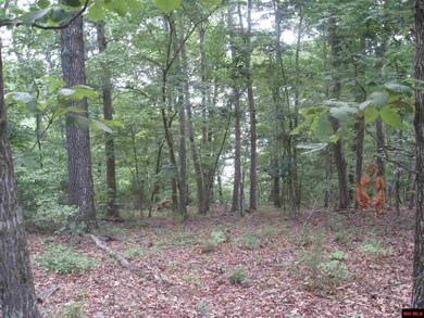 0 Diamond Bay Rd, Union Township, AR 72531 - photo 4