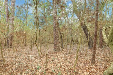 0 Croger, Magnolia, TX 77354 - photo 6