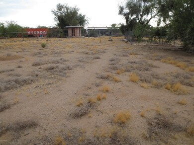 brushtrail 033