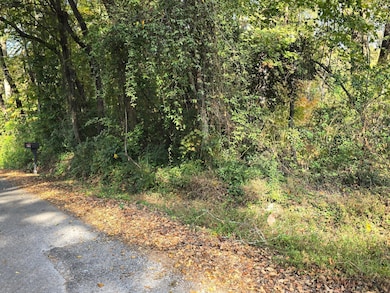 204 S High St, La Fayette, GA 30728 - photo 5