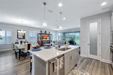 6219 Golden Nettle Dr, Apollo Beach, FL 33572 - photo 7