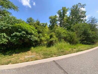 0 Eagles Ridge unit 1305145, New Tazewell, TN 37825 - photo 4