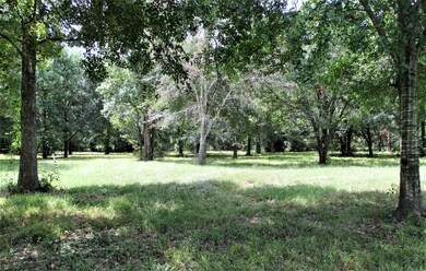 13010 E Hufsmith Rd, Tomball, TX 77375 - photo 4