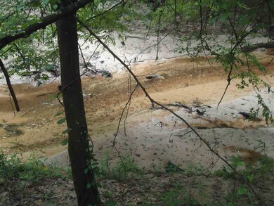 0 Highway 472 unit 1321431, Georgetown, MS 39078 - photo 6