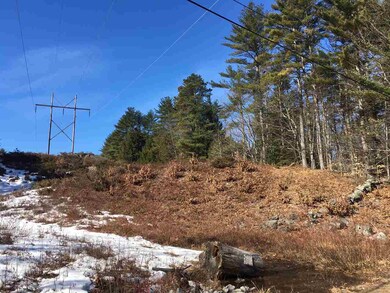 The north border of the powerline corridor bisects