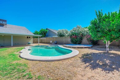 5033 E Fountain Cir, Mesa, AZ 85205 - photo 4