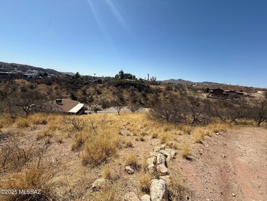 Noon View