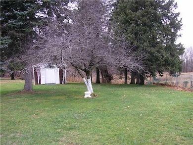 Yard/Garden