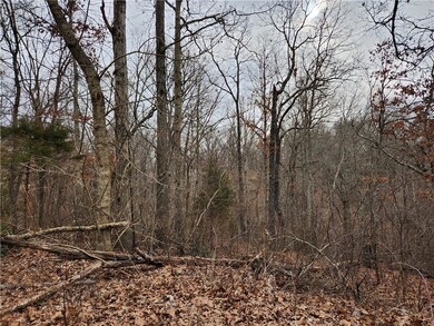 7 Cedars Ln, Bella Vista, AR 72715 - photo 5