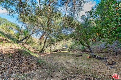 0 Comida Way unit 25616439, Topanga, CA 90290 - photo 3