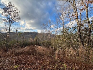 2.02 AC Viewforth Place, Topton, NC 28781 - photo 3