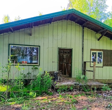 TBD No Name Rd, Trapper Creek, AK 99683 - photo 3