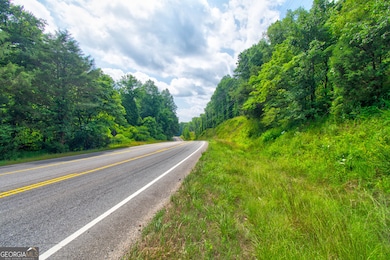 6439 S Chestatee, Dahlonega, GA 30533 - photo 2