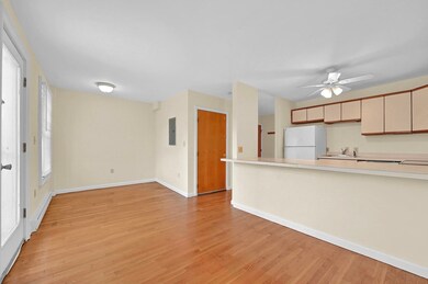 773 Tremont St unit 3, Boston, MA 02118 - photo 7