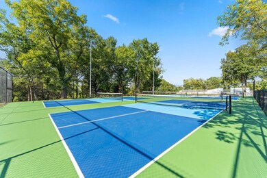 New Pickleball Courts