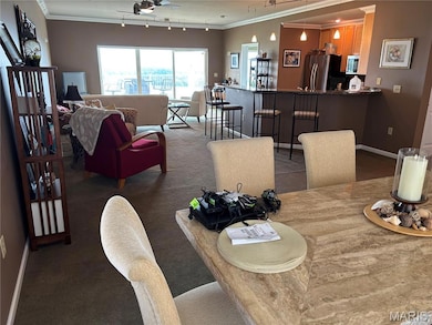 401 Timber Ridge Dr unit 16, Grafton, IL 62037 - photo 3