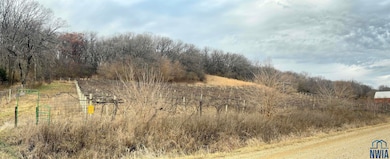 953 N River Rd, Linn Grove, IA 51033 - photo 3