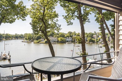 6 President Point Dr unit B2, Annapolis, MD 21403 - photo 7